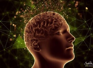 ये हैं डोपामाइन लेवल बढ़ाने के 7 प्राकृतिक तरीके डोपामाइन लेवल बढ़ाने के 7 प्राकृतिक तरीके