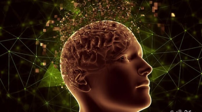 ये हैं डोपामाइन लेवल बढ़ाने के 7 प्राकृतिक तरीके डोपामाइन लेवल बढ़ाने के 7 प्राकृतिक तरीके