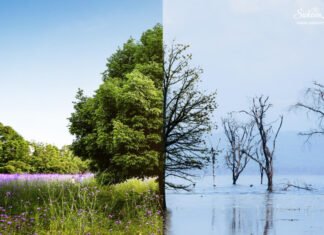 WHO: क्लाइमेट चेंज भी कर रहा है मेंटल हेल्थ को खराब! The Impact of Climate Change on Mental Health