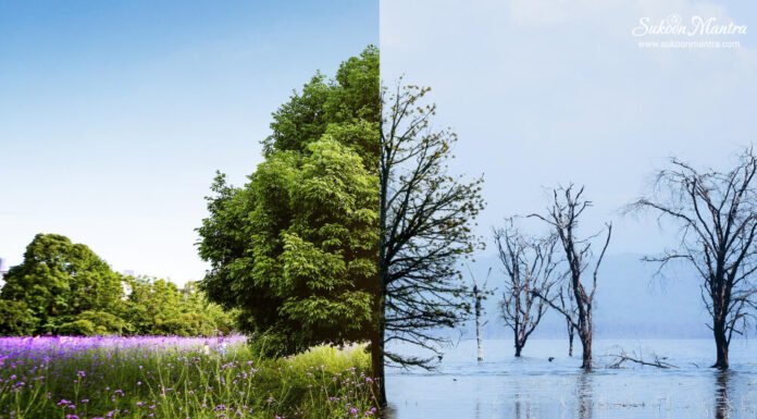 WHO: क्लाइमेट चेंज भी कर रहा है मेंटल हेल्थ को खराब! The Impact of Climate Change on Mental Health