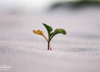 सेल्फ ग्रोथ की पहली सीढ़ी: इन 5 बातों को आज ही अपना लीजिये! accept these hard truths for self growth