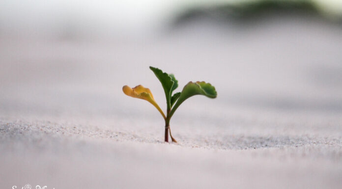 सेल्फ ग्रोथ की पहली सीढ़ी: इन 5 बातों को आज ही अपना लीजिये! accept these hard truths for self growth